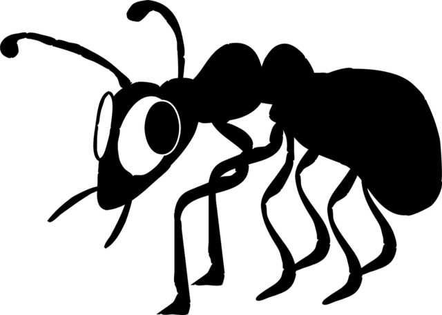 ant-48022_960_720.png